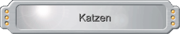 Katzen