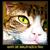 rpca0004-750x750katze-wasdiemausnochsah